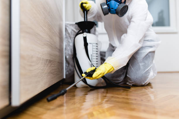 Best Best Pest Control Companies  in Samsula Spruce Creek, FL