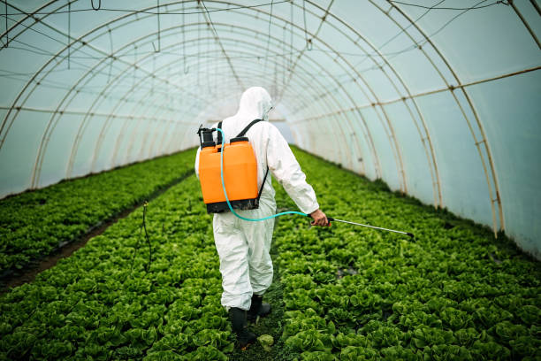 Best Affordable Pest Control Services  in Samsula Spruce Creek, FL