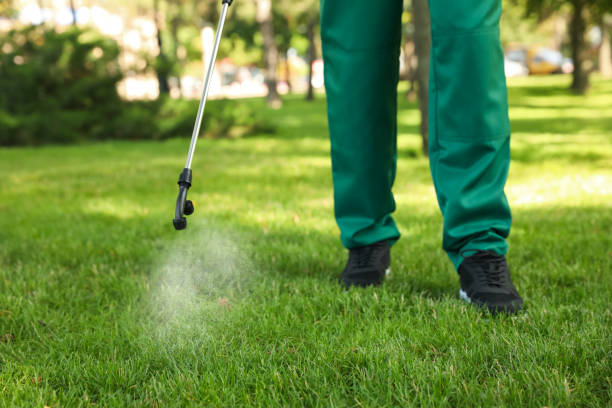Best Flea Control Services  in Samsula Spruce Creek, FL