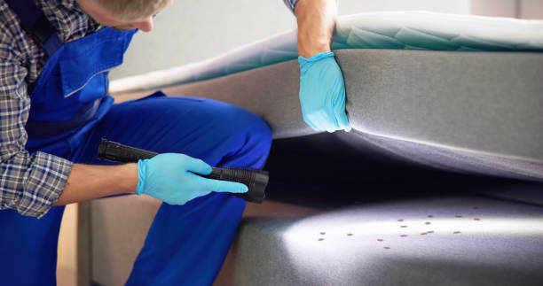 Best Commercial Pest Control Services  in Samsula Spruce Creek, FL