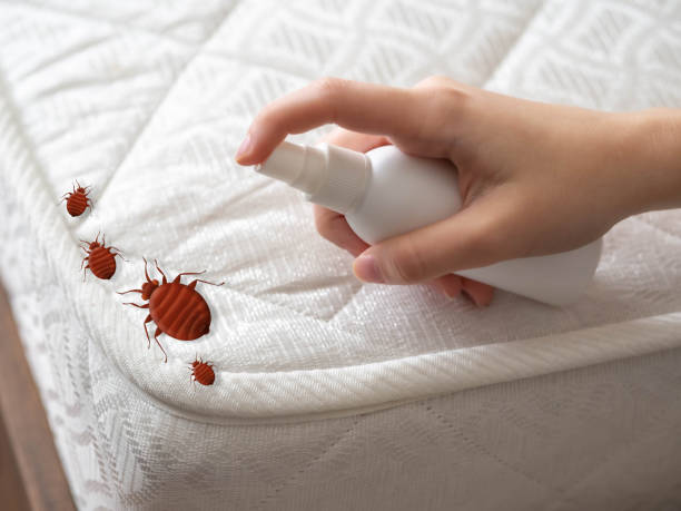 Best Pest Removal Services  in Samsula Spruce Creek, FL